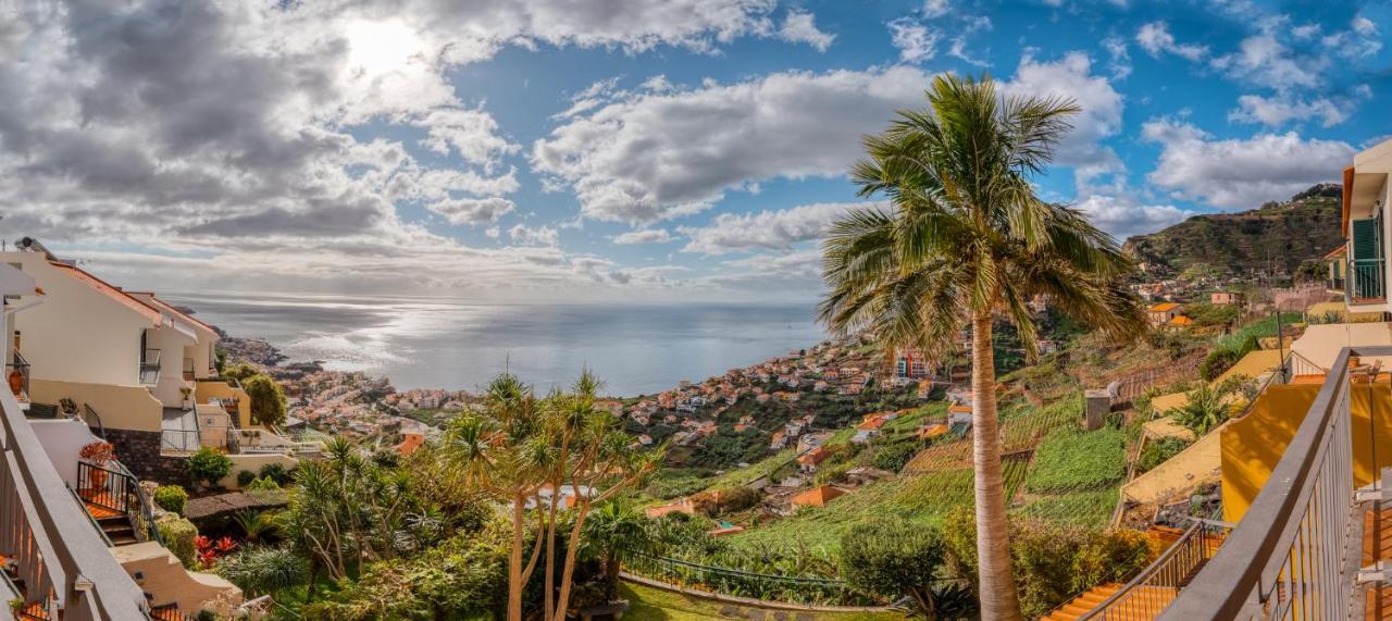 Palm Tree House By Amazing Madeira Villa กามารา ดิ โลบุช ภายนอก รูปภาพ